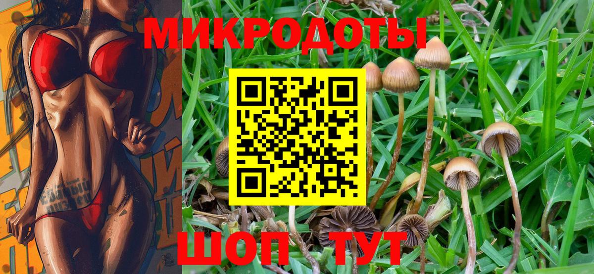 Галлюциногенные грибы ЛСД Славянск-на-Кубани