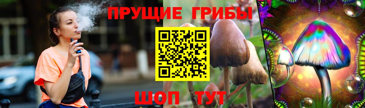Славянск-на-Кубани  даркнет сайт  Вход с VPN  Псилоцибиновые грибы GOLDEN TEACHER 